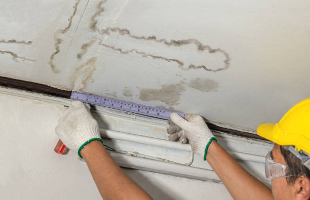 Reliable Mold Remediation contractor in Canton, MI by Water Damage Irwin